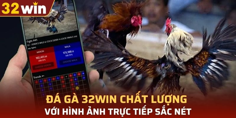 Đá gà 32WIN chất lượng với hình ảnh trực tiếp sắc nét