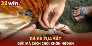 đá gà cựa sắt