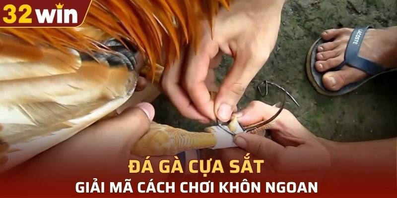 đá gà cựa sắt