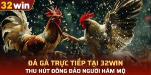 đá gà trực tiếp