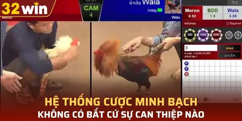 Hệ thống cược minh bạch, không có bất cứ sự can thiệp nào