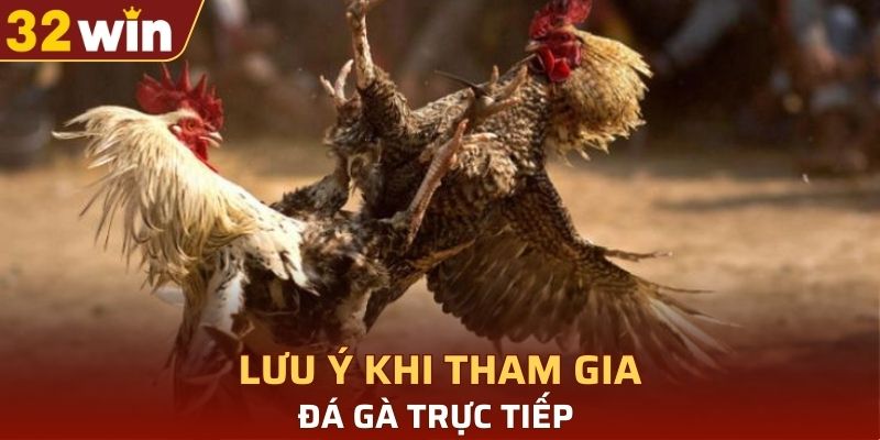 Lưu ý khi tham gia đá gà trực tiếp tại 32WIN