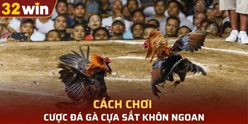 Người chơi cần trang bị kiến thức cơ bản