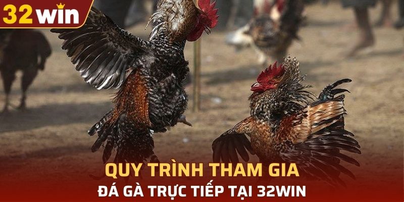 Quy trình tham gia đá gà trực tiếp tại 32WIN