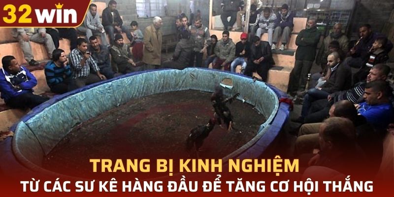 Trang bị kinh nghiệm từ các sư kê hàng đầu để tăng cơ hội thắng
